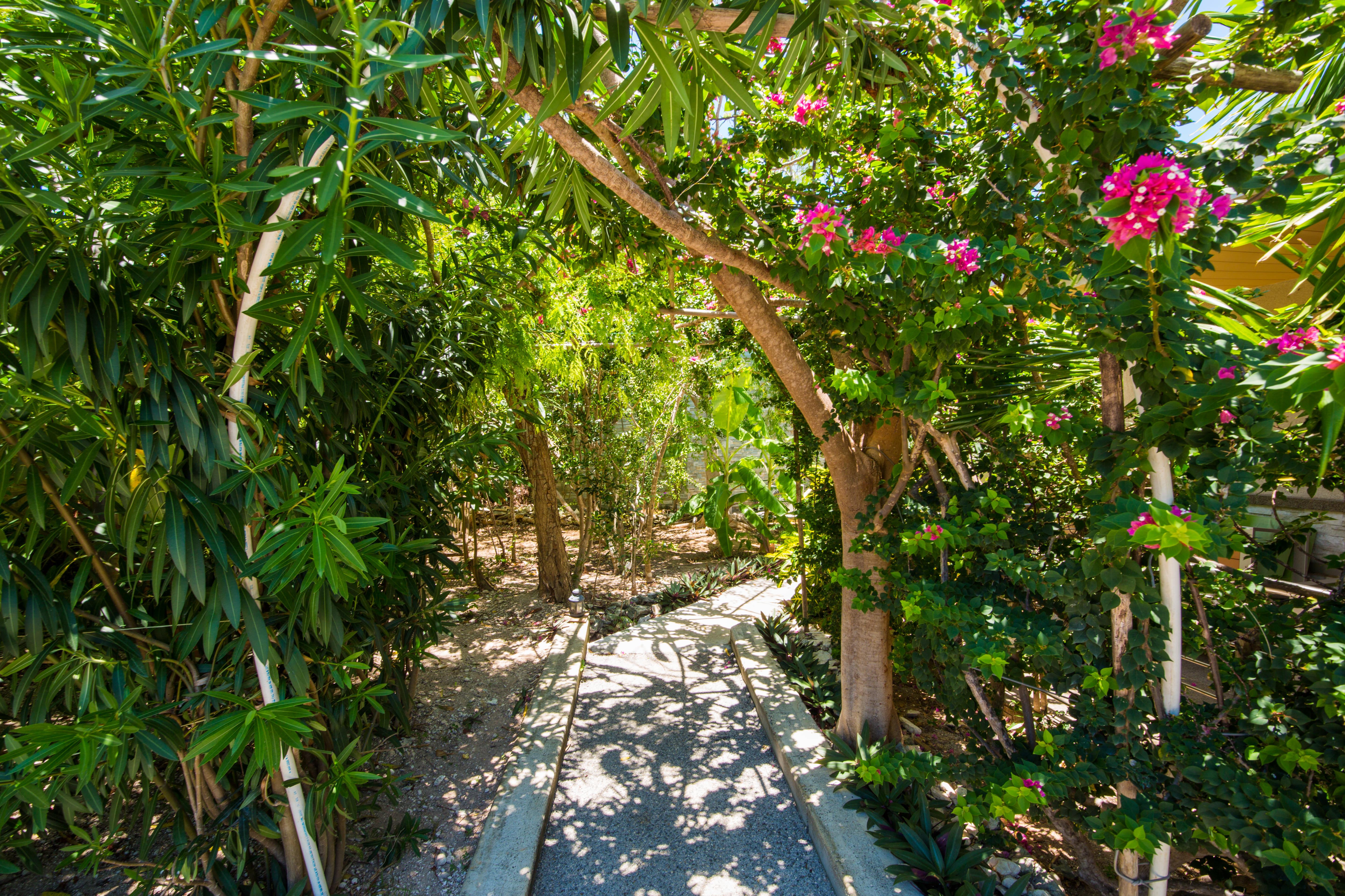 One On Marlin Resort (Adults Only) Turtle Cove Exteriör bild