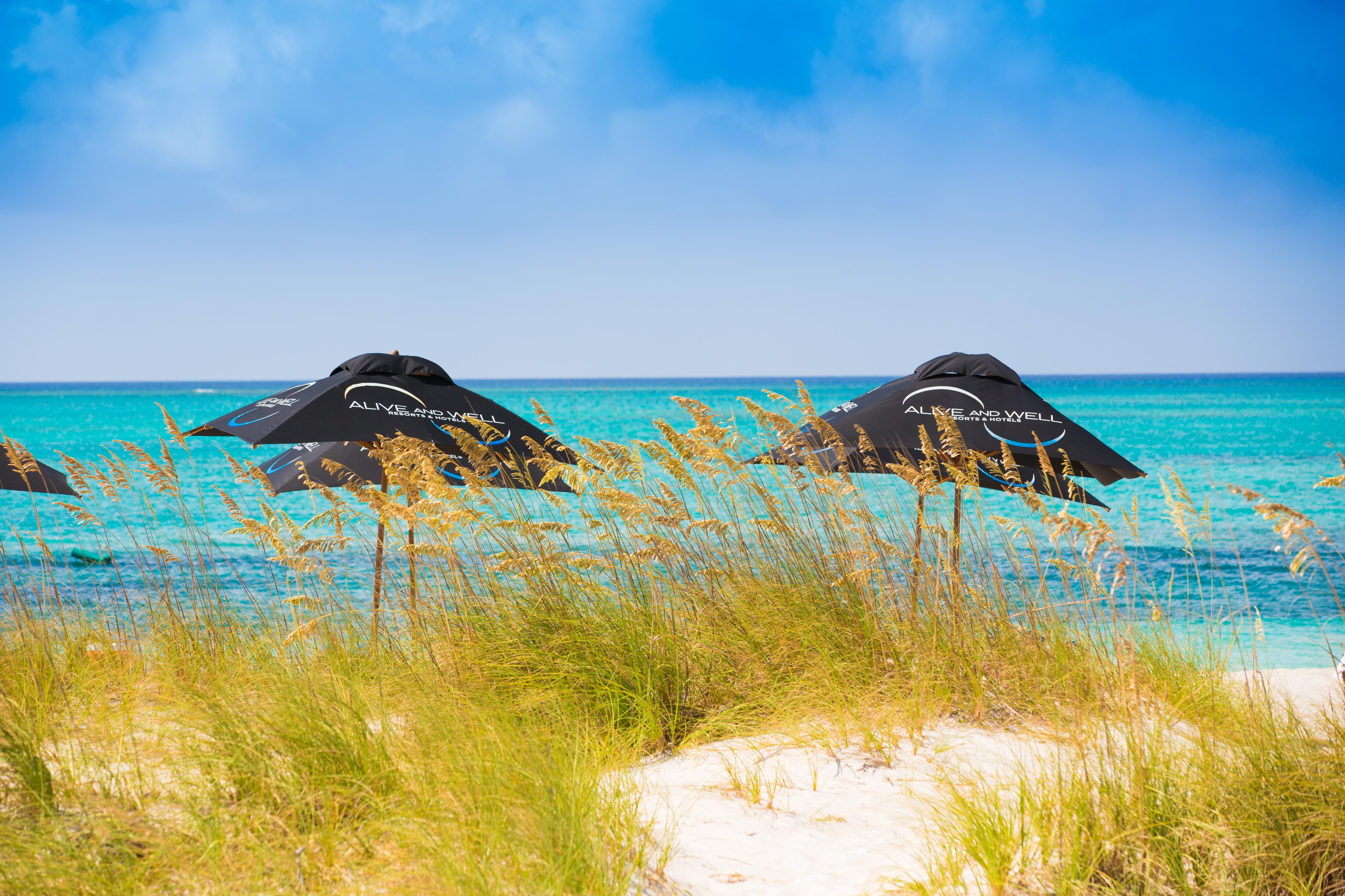 One On Marlin Resort (Adults Only) Turtle Cove Exteriör bild