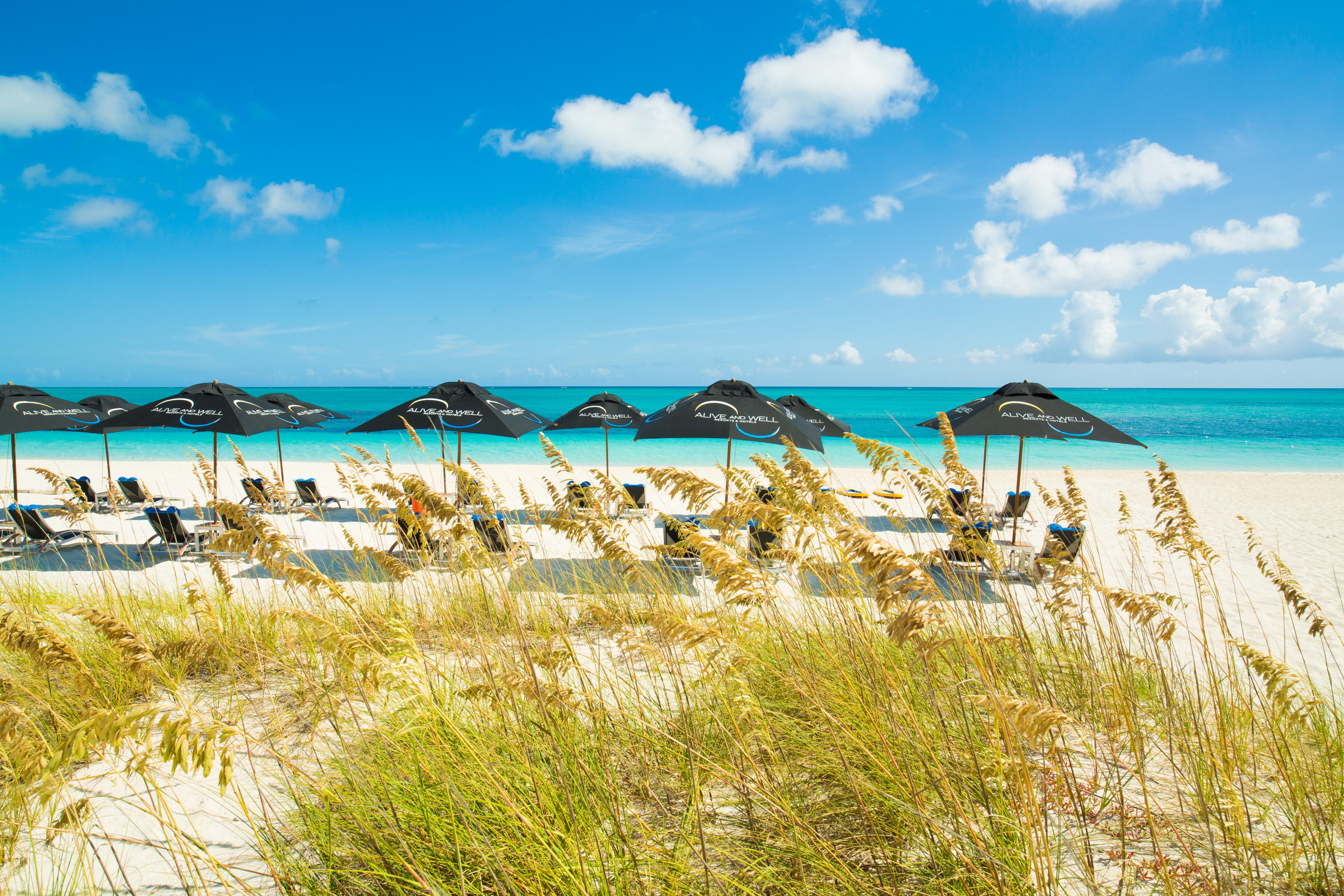 One On Marlin Resort (Adults Only) Turtle Cove Exteriör bild