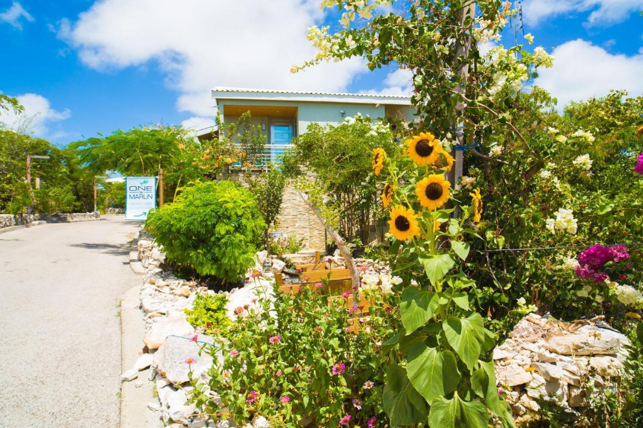One On Marlin Resort (Adults Only) Turtle Cove Exteriör bild